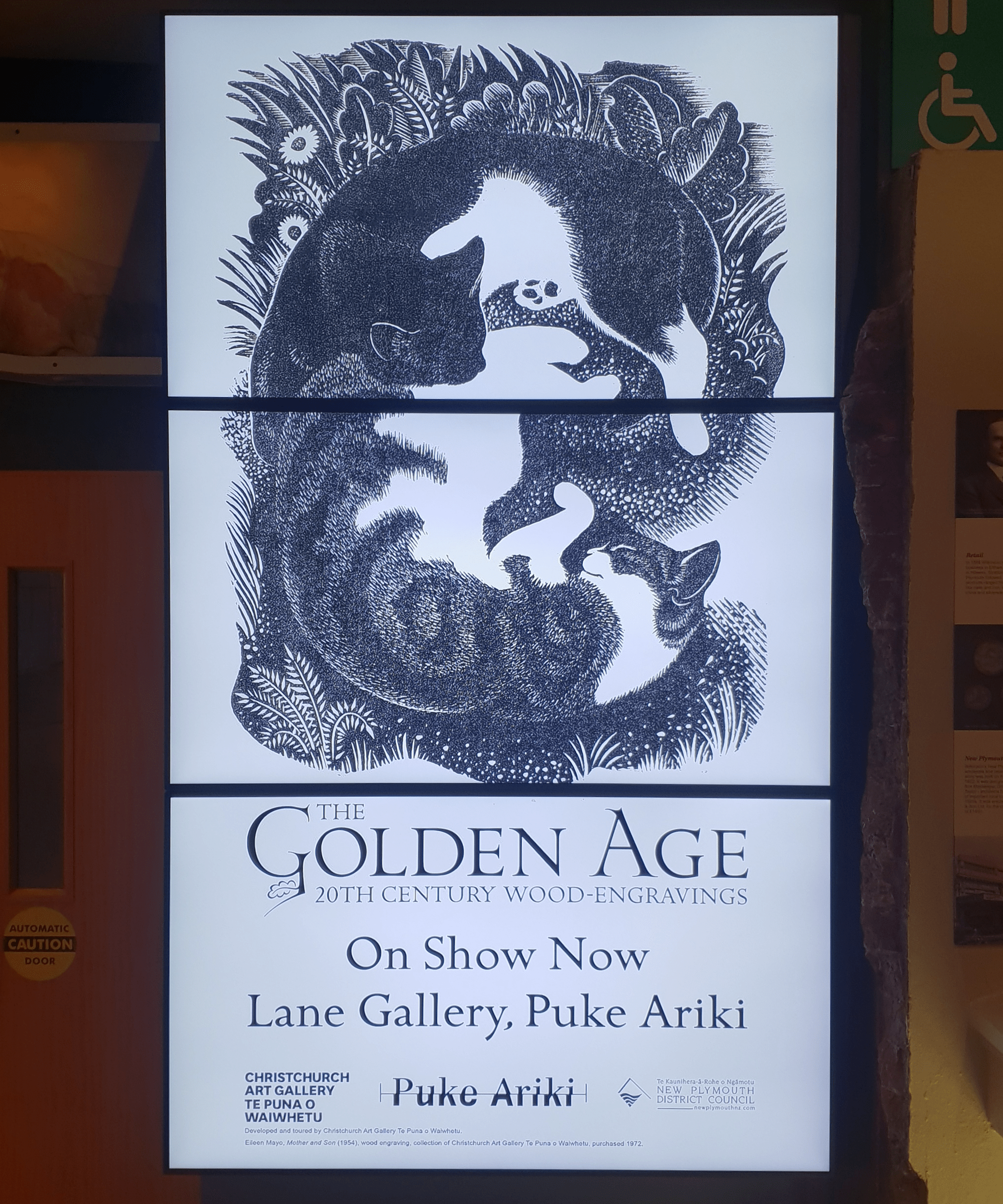 Screen diplay at Lane gallery Puke Ariki 'Golden Age'